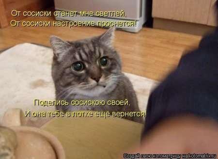 Наши любимцы :3 - 5 августа 2014 в 14:32