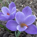 ����� ������!!!!! �� ������� ���� ����������