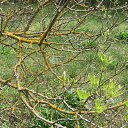 ���� ������, ����� - ��������� 7 ��� 2014 � ������ ���� 2014, ����, ������������