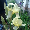 ���� �������, ������, 58 ��� - ��������� 17 ��� 2014 � ������ ��������