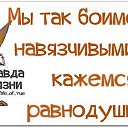 ���� ���������, ���������, 49 ��� - ��������� 25 ��� 2014 � ������ ������ ��������