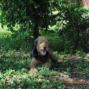 ���� ������, ������, 49 ��� - ��������� 6 ���� 2014 � ������ ������� �������