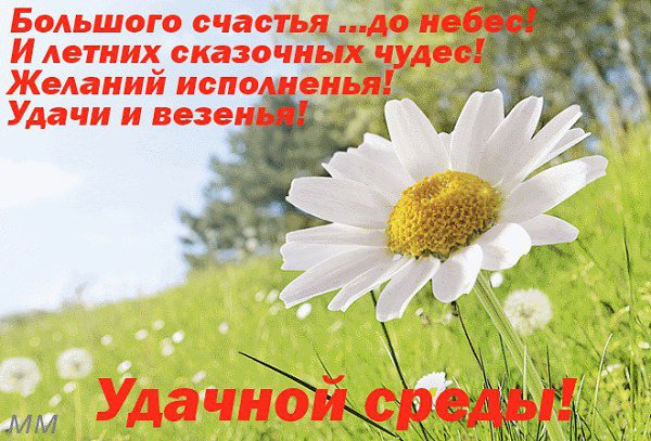  ( ) - 4  2014  09:05