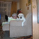 ���� ���������, ����������, 61 ��� - ��������� 27 ���� 2014