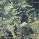 ���� ����������, ������, 58 ��� - ��������� 29 ���� 2014 � ������ ���