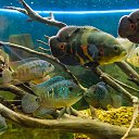  , , 46  -  24  2014      &quot; &quot;