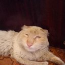 ���� ������, ������, 50 ��� - ��������� 26 ������ 2014 � ������ ������ ��������