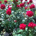 ���� ����, ���������, 58 ��� - ��������� 5 ���� 2014 � ������ ���� ����������