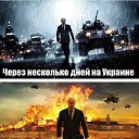 ���� ������, ����������, 37 ��� - ��������� 2 ��� 2014 � ������ ������ ��������