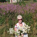 ���������� ���� �� ������� ���� ����������