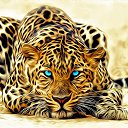 ���� �������, ����������, 46 ��� - ��������� 29 ���� 2014 � ������ ���� ����������