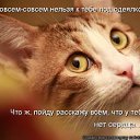 ���� ��������, �����������, 57 ��� - ��������� 1 ��� 2014 � ������ ������ ��������