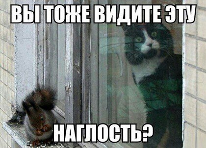 - ( ) - 6  2014  15:19