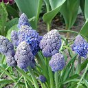 ���� �������, ������, 58 ��� - ��������� 20 ������ 2014 � ������ ��������