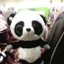 ���� ���������, ���� - ��������� 28 ������ 2014 � ������ ������ ��������