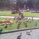 ���� �����, �����������, 61 ��� - ��������� 22 ������� 2014 � ������ ������������������»