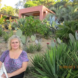 ���� �����, ���������, 57 ��� - ��������� 14 ���� 2014