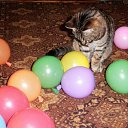 ���� R�*����, �������, 59 ��� - ��������� 16 ����� 2014 � ������ ������ ��������