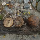  ,  , 56  -  16  2014    