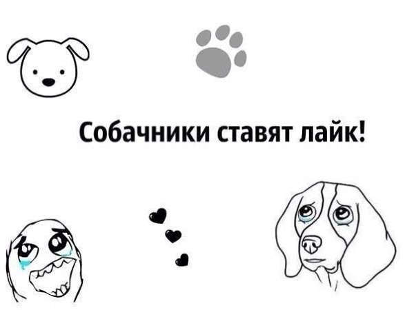 .•°Dogs Forever°•. - 30  2014  19:17