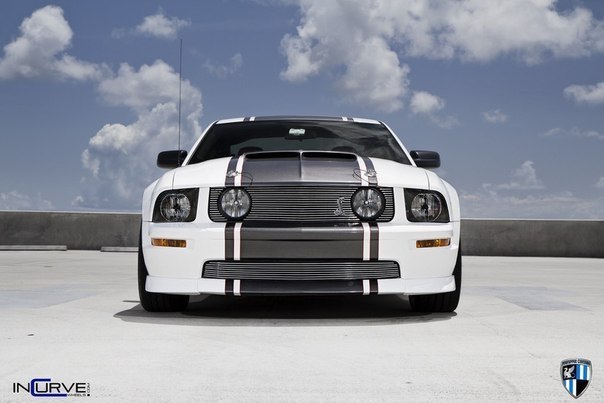 Ford Mustang Shelby Cobra GT500 - 4