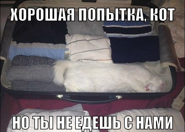 �������������� �� ���� �������� <a href=