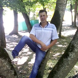 , 56 , 
