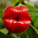 ���� �����, �����, 55 ��� - ��������� 25 ���� 2014 � ������ ���� ����������