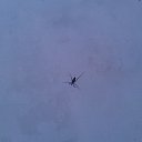 ������� �� ������� ����