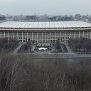  , , 41  -  28  2014   ~  scOW ~