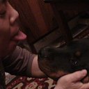 ���� �����, ��������� - ��������� 18 ����� 2014