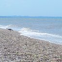  ,  -  21  2014    ))))))))))