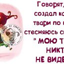 ���� ����, ������ - ��������� 29 ���� 2014 � ������ ���� ����������
