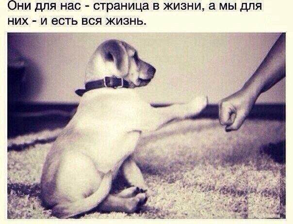 https://fotostrana.ru/away?to=/sl/ZxC2 - 1  2014  18:53