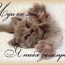  , , 50  -  26  2014     .. ; ))