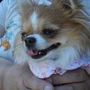  ,  -7 -  21  2014    2014