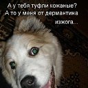 ���� ����, ������ - ��������� 10 ������ 2014 � ������ ���� ����������
