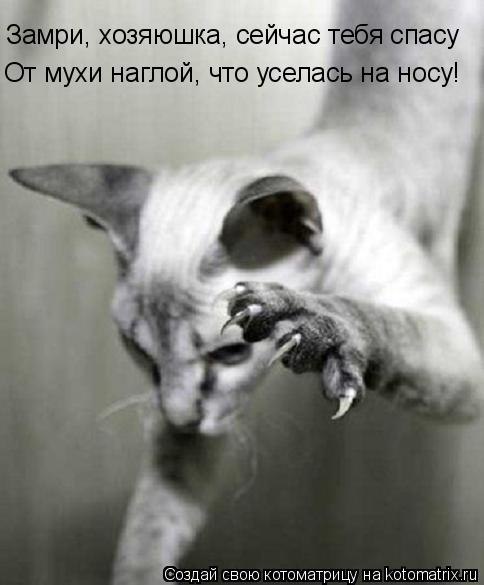 Alex Linadherent - 18  2014  07:13