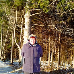 �����, ���������, 63 ����