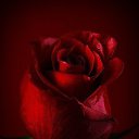 ���� �����, �������, 48 ��� - ��������� 1 ��� 2014 � ������ �Red�