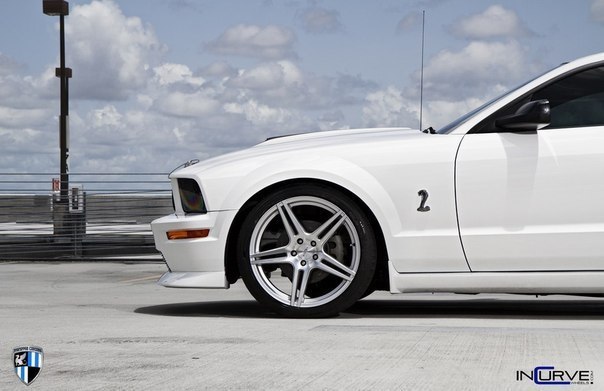 Ford Mustang Shelby Cobra GT500 - 8