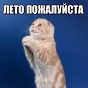 ���� �������, ������������, 71 ��� - ��������� 15 ������� 2014 � ������ ������ ��������