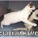 ���� ���������, �����-��������� - ��������� 20 ����� 2014 � ������ ���� ����������