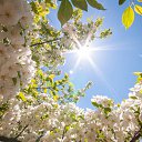  Viktoria Aleksandrina,  -  6  2014    