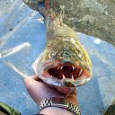 ���� �������, ������� - ��������� 17 ������ 2014 � ������ ����� ��� ������������