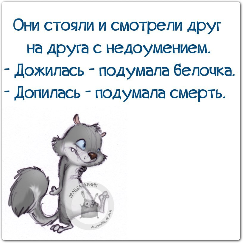 ������ ����� - 22 �������� 2014 � 21:55