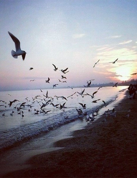 tumblr - 22  2014  21:48