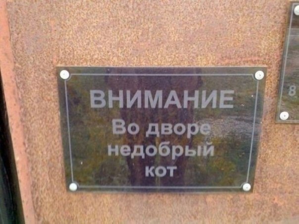  - 11  2014  11:05