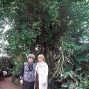 ���� ��������, �����������, 71 ��� - ��������� 2 ������ 2014 � ������ ������ ��������