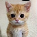 ���� �����, ����, 72 ���� - ��������� 13 ������� 2014